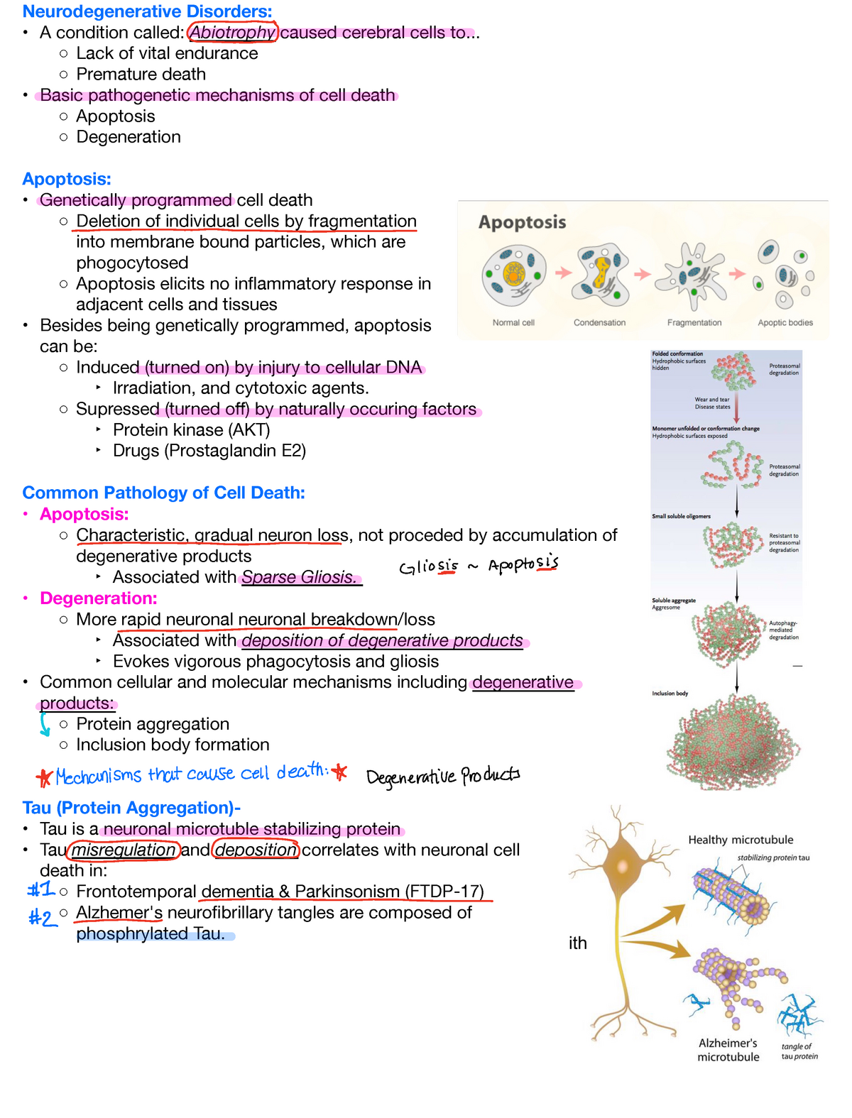 Neurogeneration - Neurodegenerative Disorders: • A condition called ...