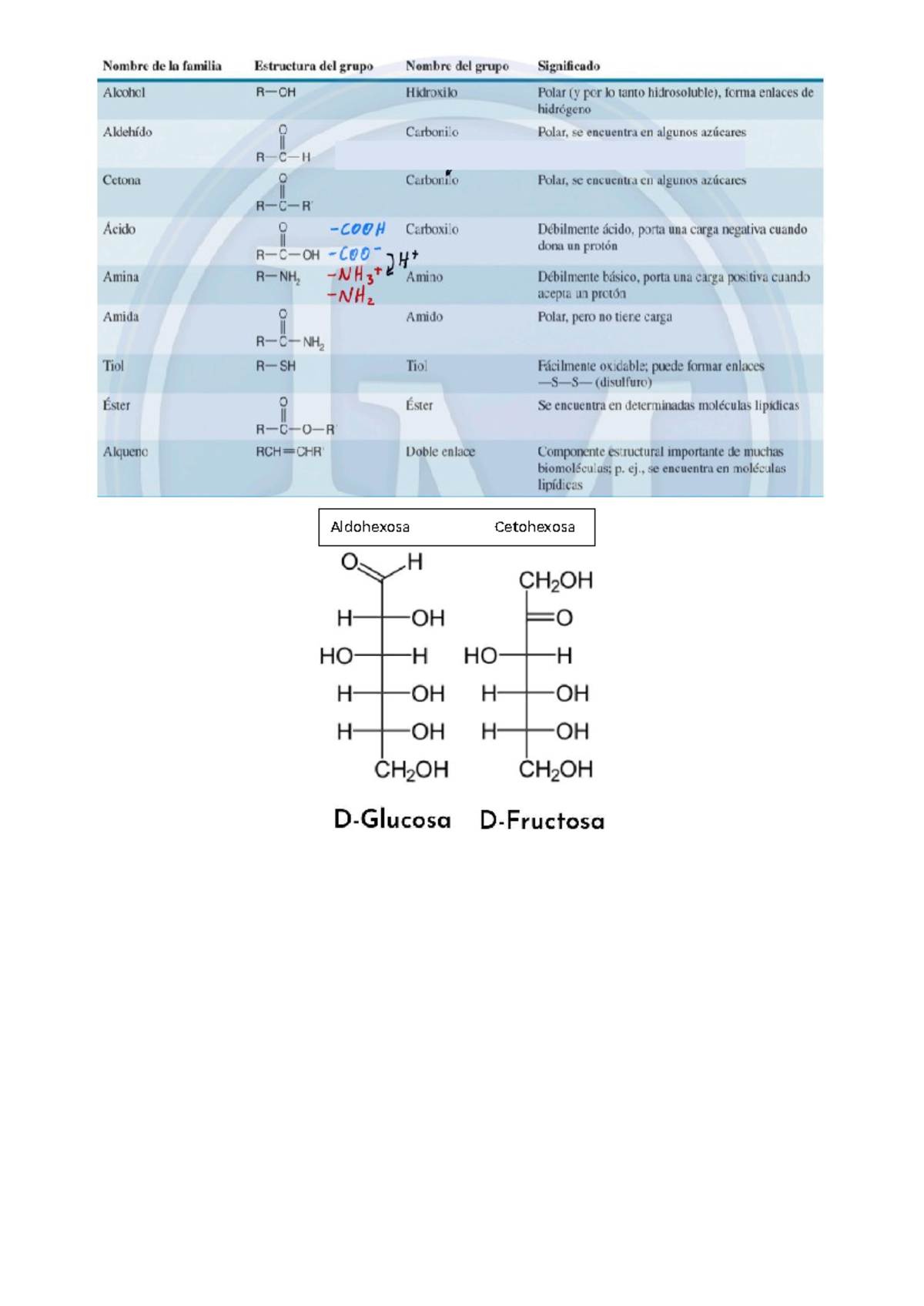 Boiqiu - BIOQUÍMICA - Aldohexosa Cetohexosa - Studocu