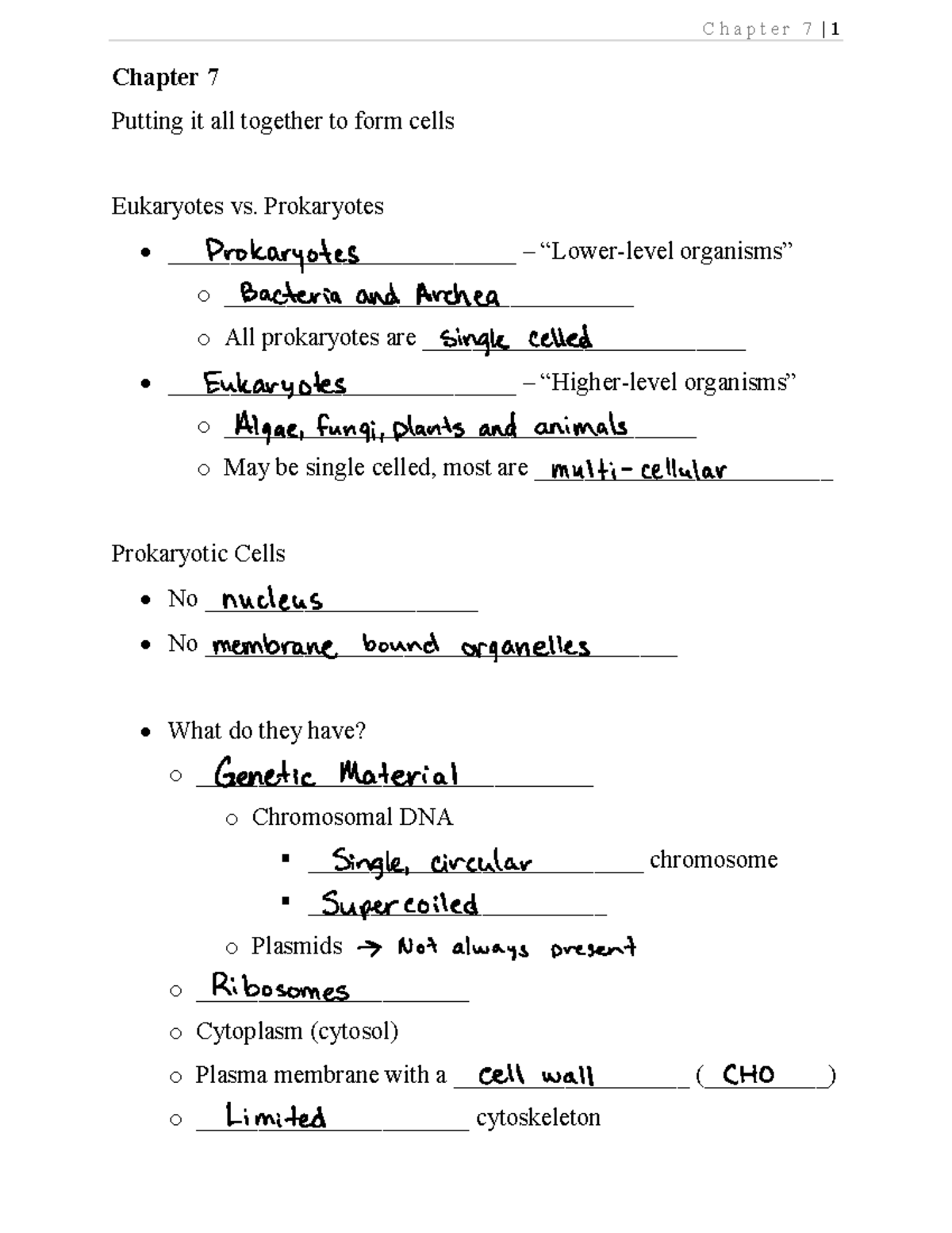 Chapter 7 Notes - Chapter 7 Putting it all together to form cells ...