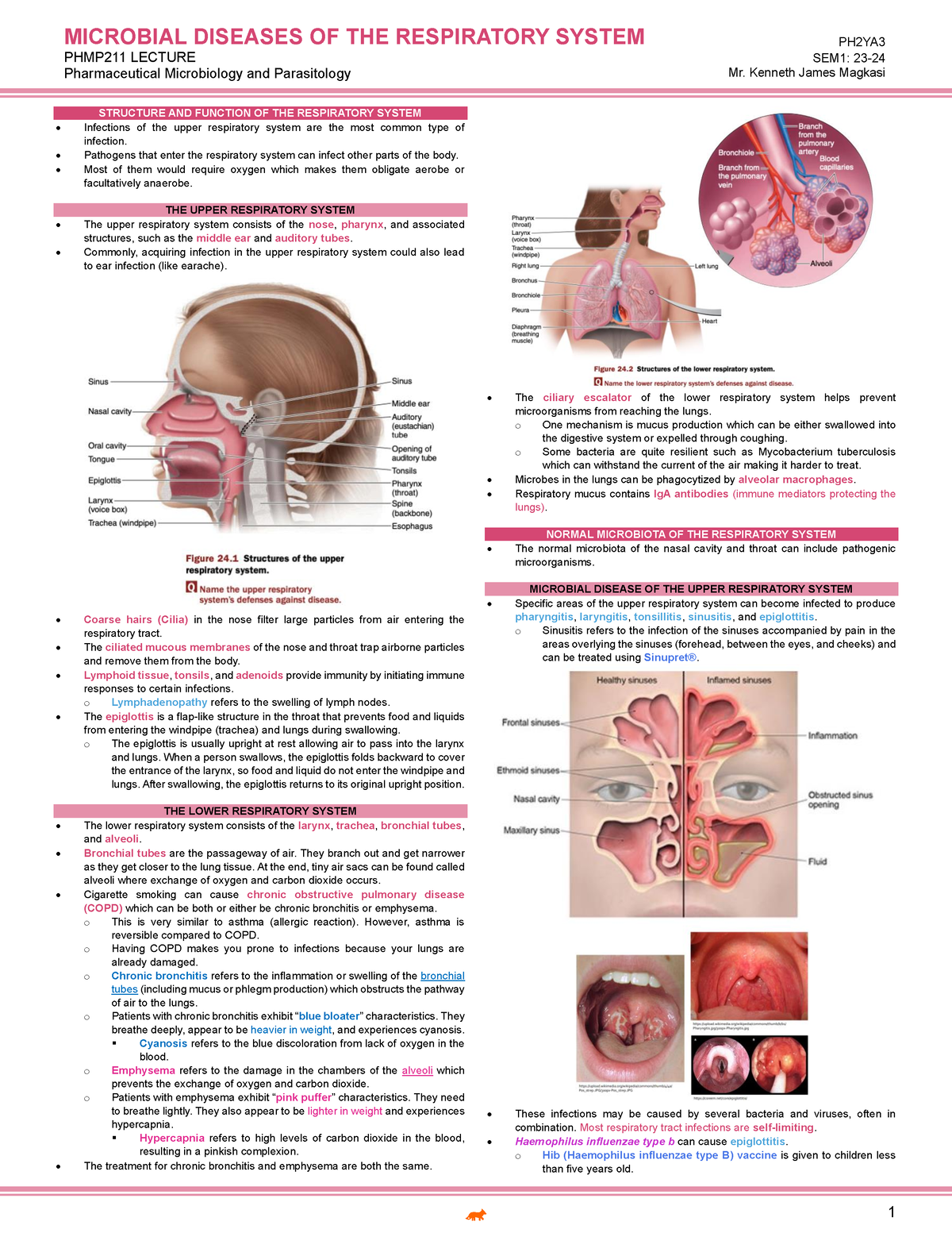 11-Microbial Diseases of the Respiratory System-PHMP211LEC - MICROBIAL ...