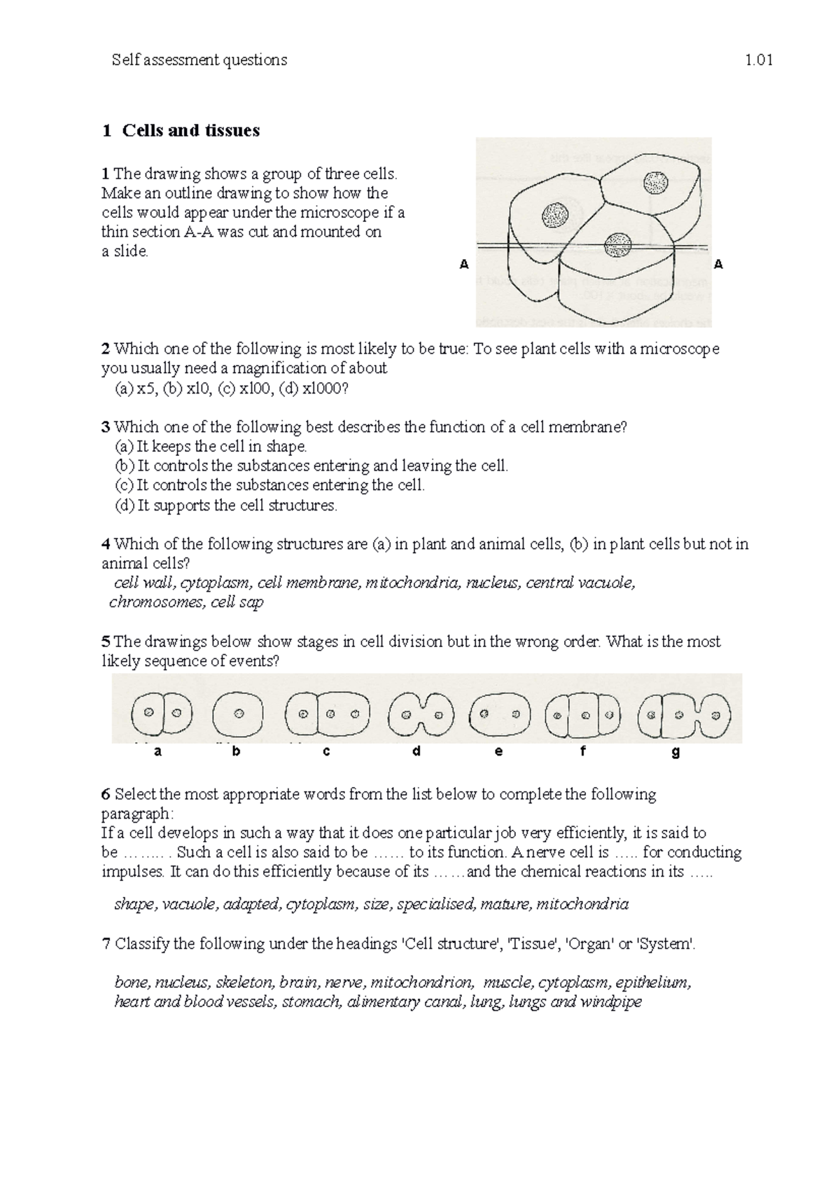 Cellstissuesquestions 1 Cells and tissues 1 The drawing shows a