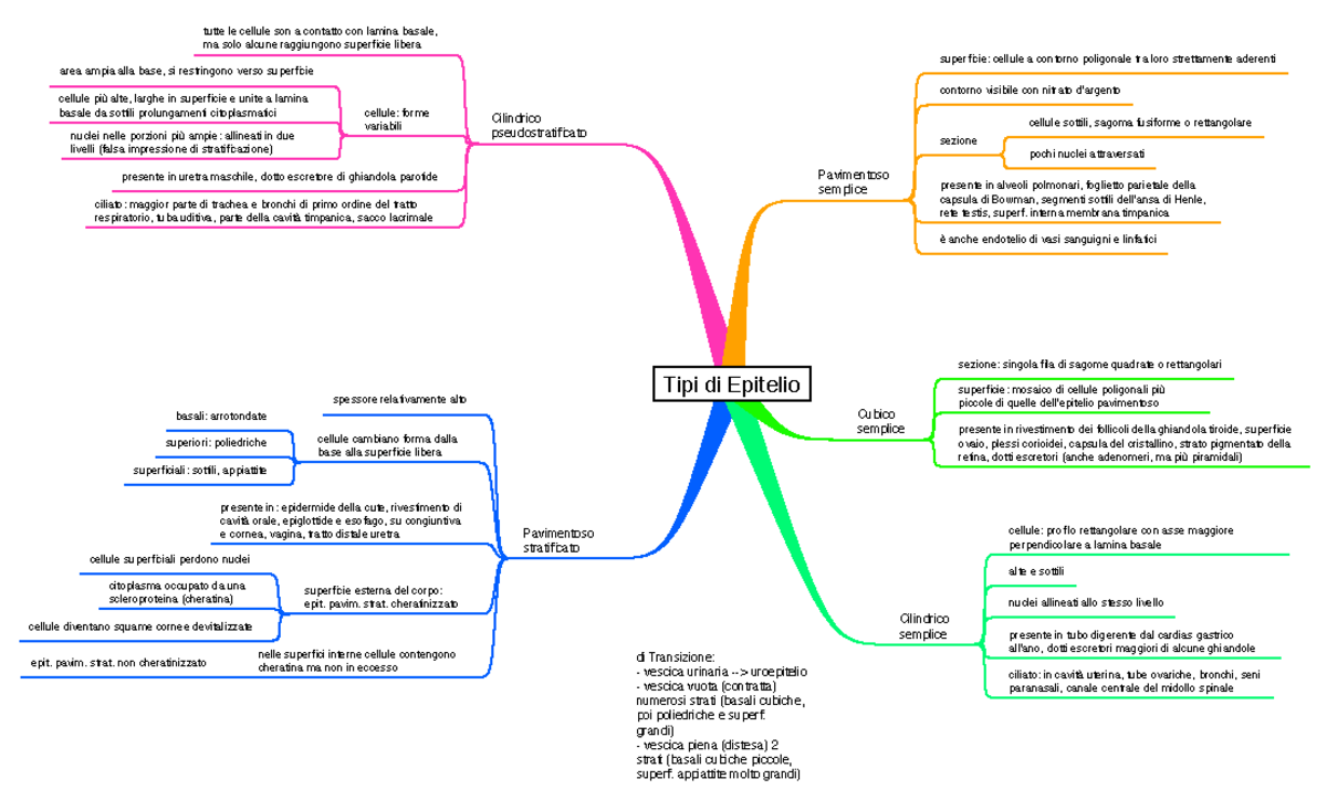 Appunti Istologia Tipi Di Epitelio Mappa Concettuale Studocu