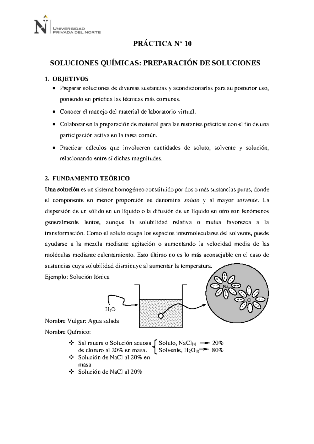 Práctica N° 10 Soluciones Químicas PrÁctica N° 10 Soluciones