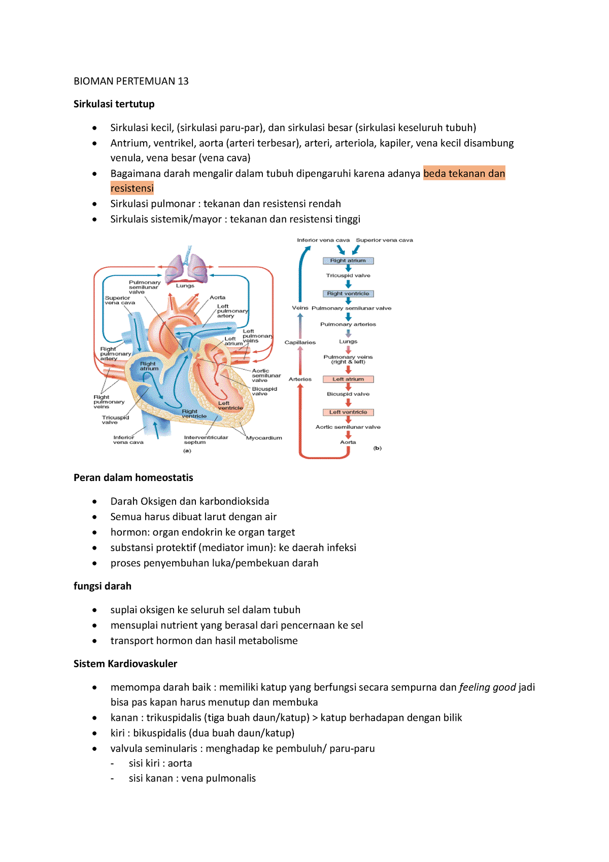 13 Sistem Kardiovaskuler - BIOMAN PERTEMUAN 13 Sirkulasi Tertutup ...