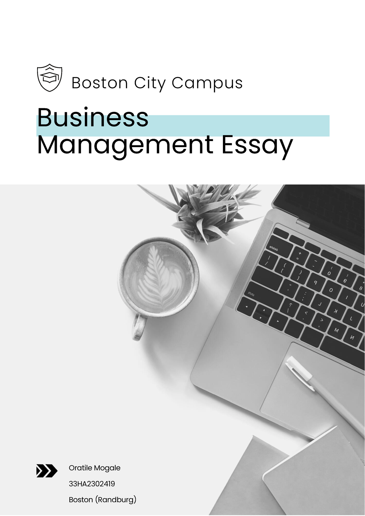 possible essays for business studies 2023