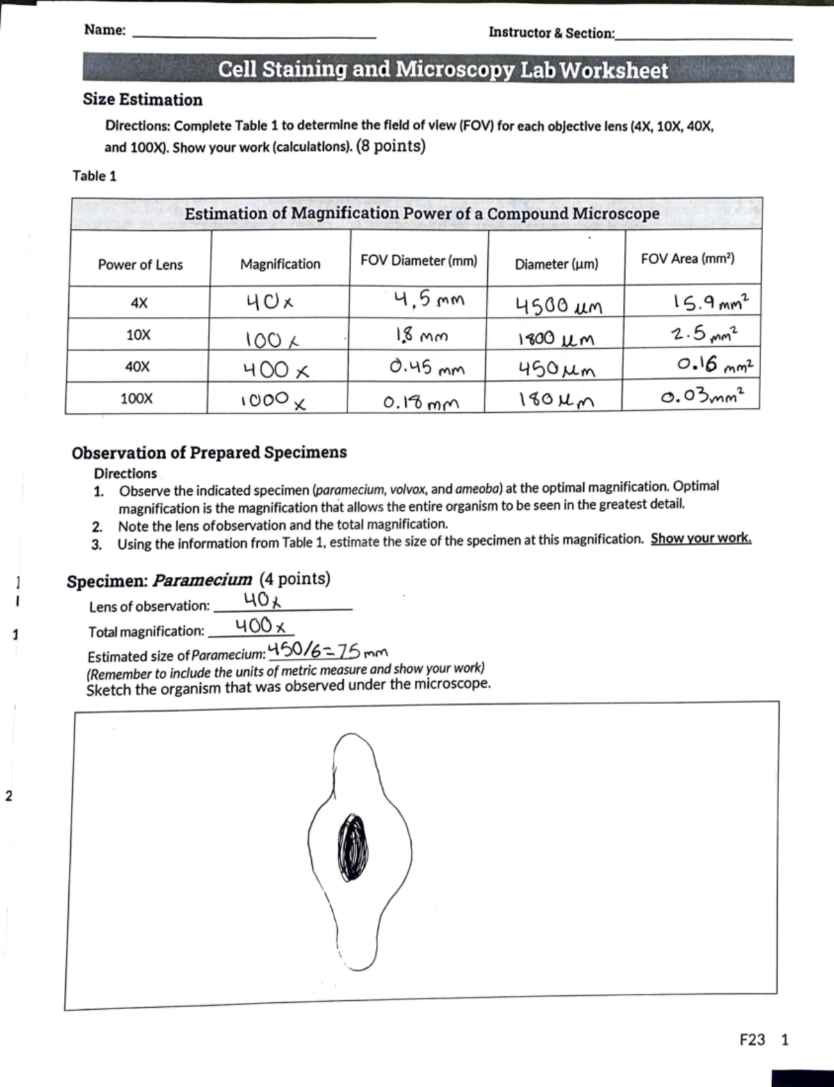 LPogue Lab Microscopy - lab - j 2 Name: - Instructor & Section:·- Cell ...