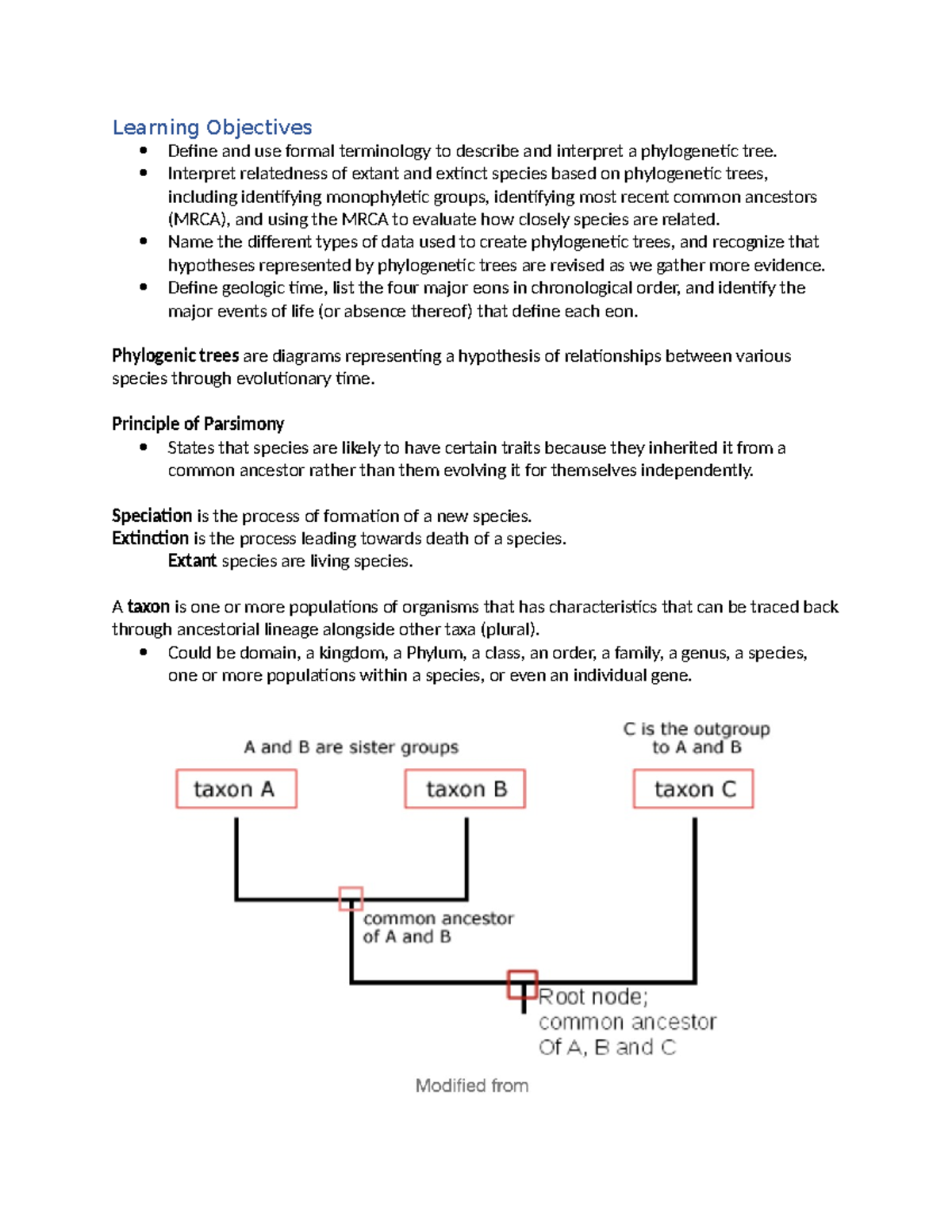 Trees and Geologic Time Notes Learning Objectives Define