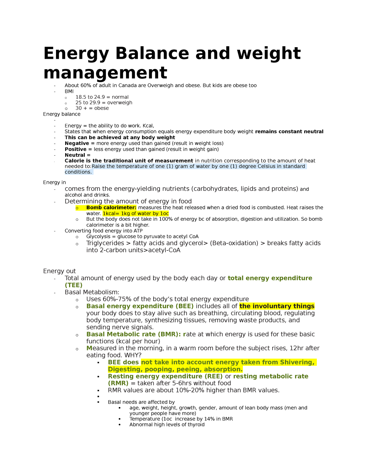 energy balance essay