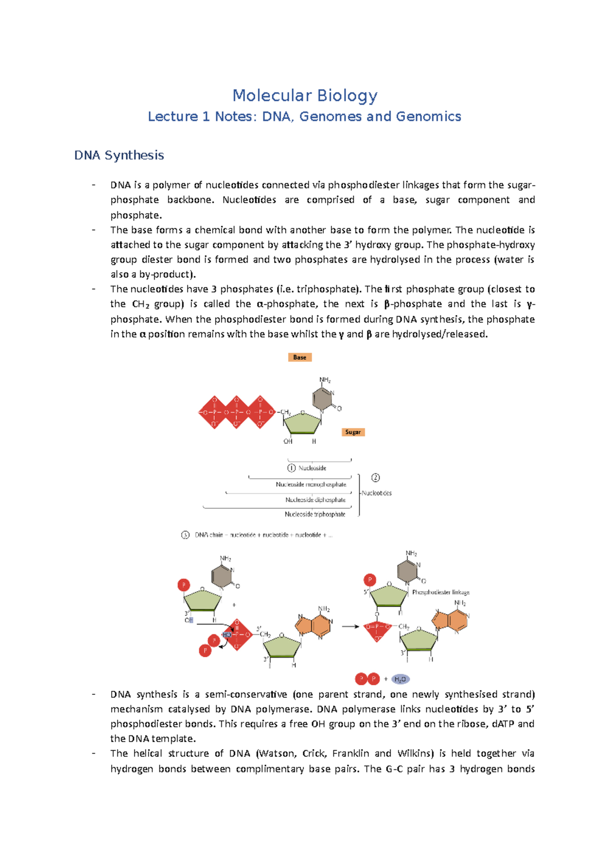 Lecture 1 Notes (DNA, Genomes And Genomics) - Molecular Biology Lecture ...