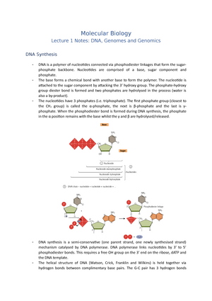 Lecture 1 Notes (DNA, Genomes And Genomics Part 3) - Molecular Biology ...