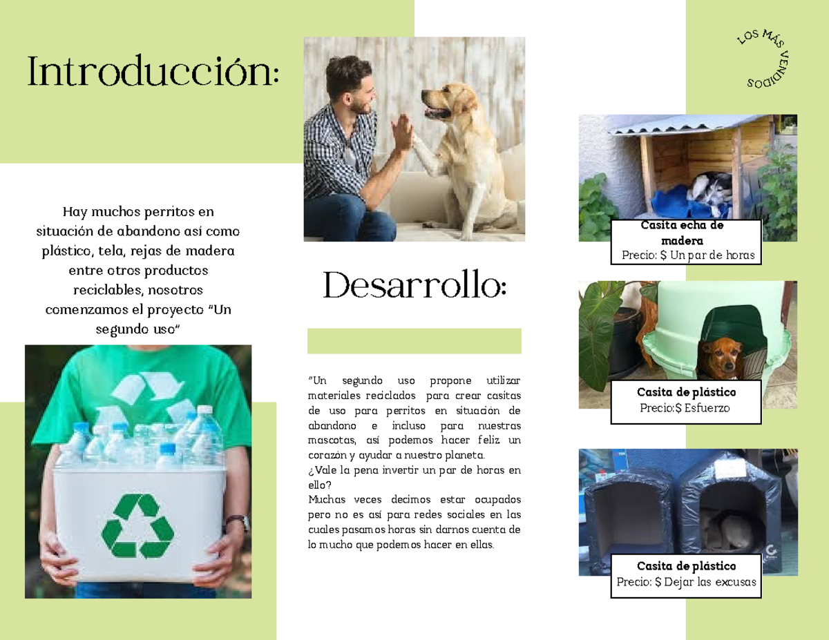 folleto-aceites-esenciales-minimalista-morado-desarrollo