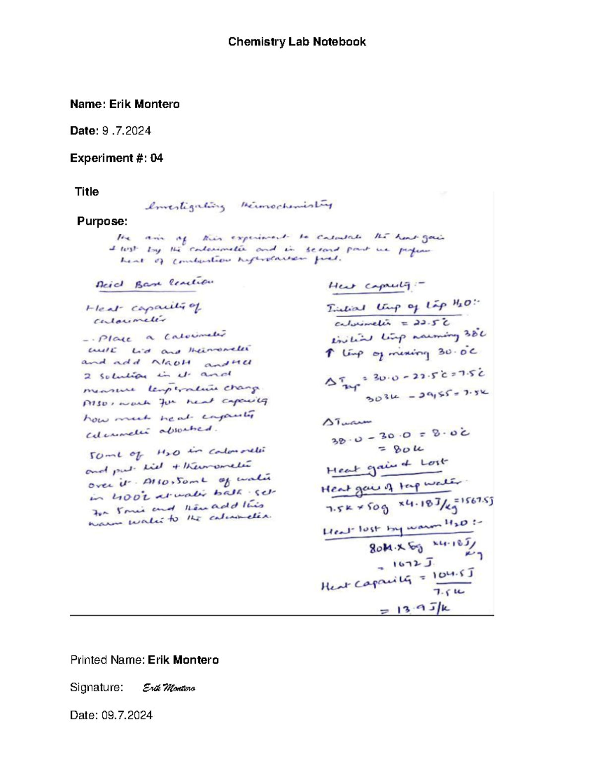 Chemistry Lab Notebook Template 4 - Insights on organic chemistry ...