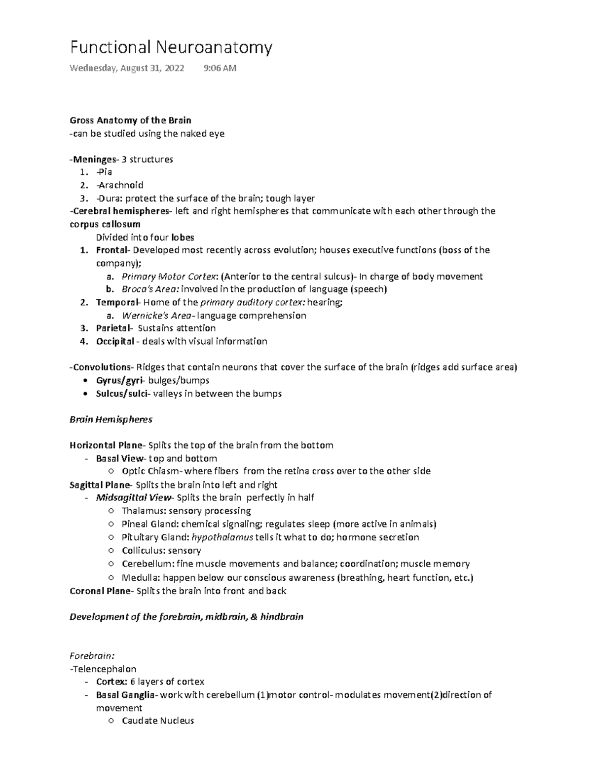 pysc-4380-functional-neuroanatomy-notes-gross-anatomy-of-the-brain
