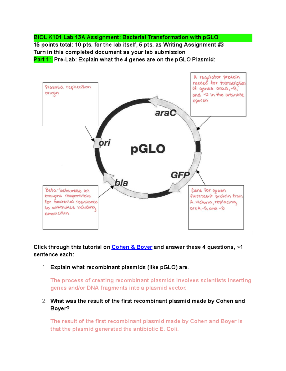 Lab 13 - Lab 13 For Biology - BIOL K101 Lab 13A Assignment: Bacterial ...