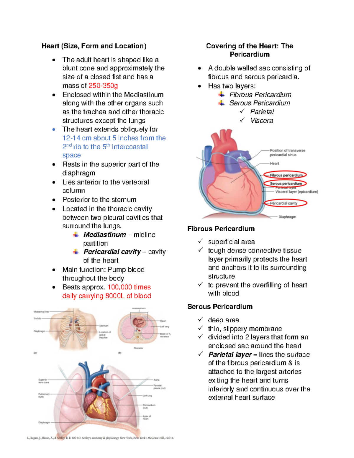 Heart-Reviewer - reviewer - Heart (Size, Form and Location) The adult ...