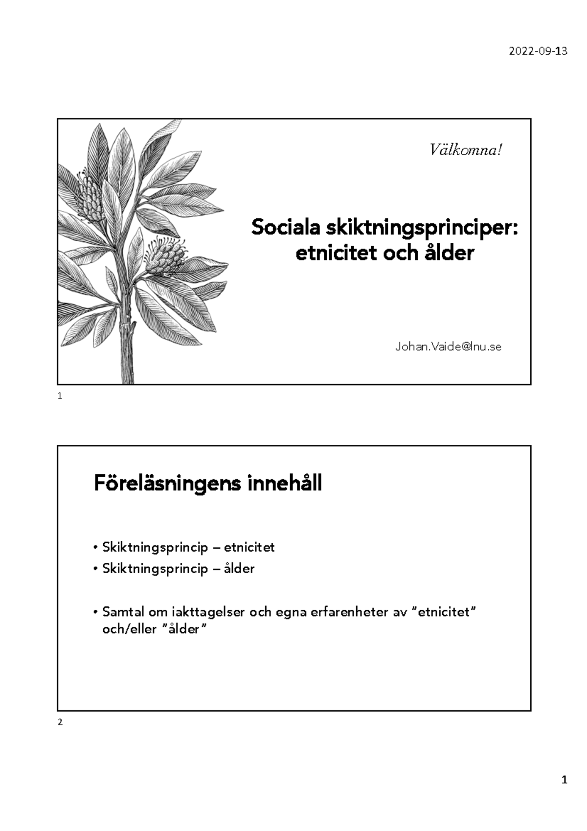 Sociala Skiktningar Etnicitet Och ålder - Sociala Skiktningsprinciper ...