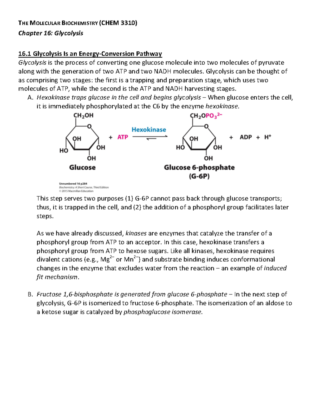 Biochem Ch. 16 - Chapter 16 Notes - THE MOLECULAR BIOCHEMISTRY (CHEM ...