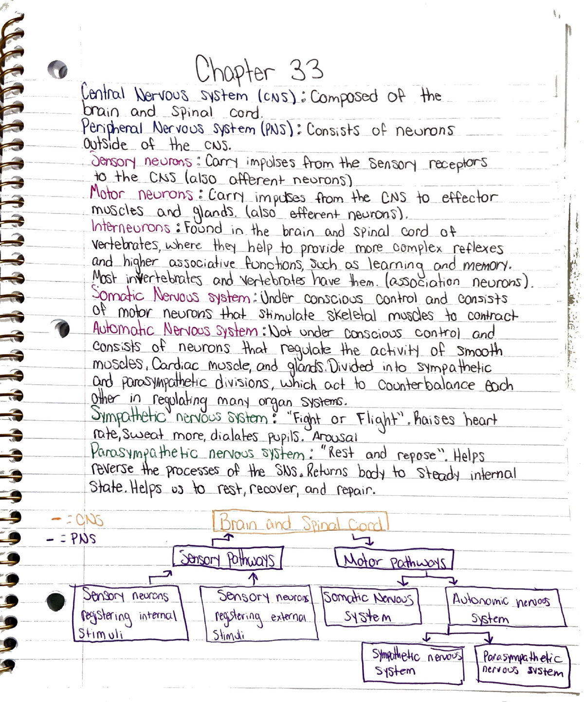 Chapter 33 - OU Biology 1013 - BIOL 1013 - Studocu