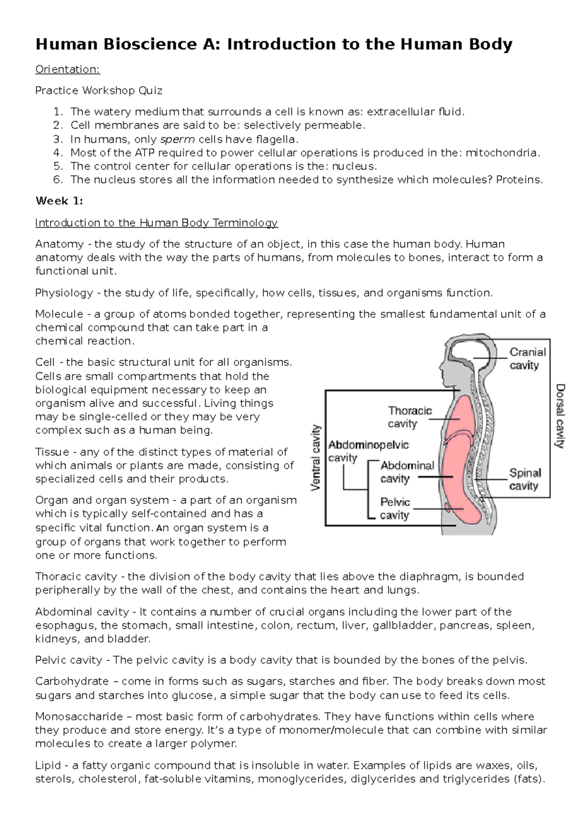 HBA Week 1 Introduction To The Human Body - Human Bioscience A ...