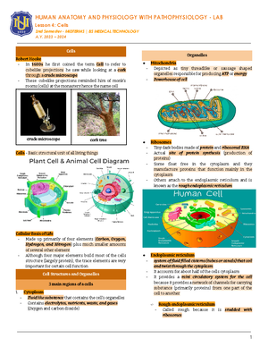 Lesson 6 Microscope - HUMAN ANATOMY AND PHYSIOLOGY WITH PATHOPHYSIOLOGY ...