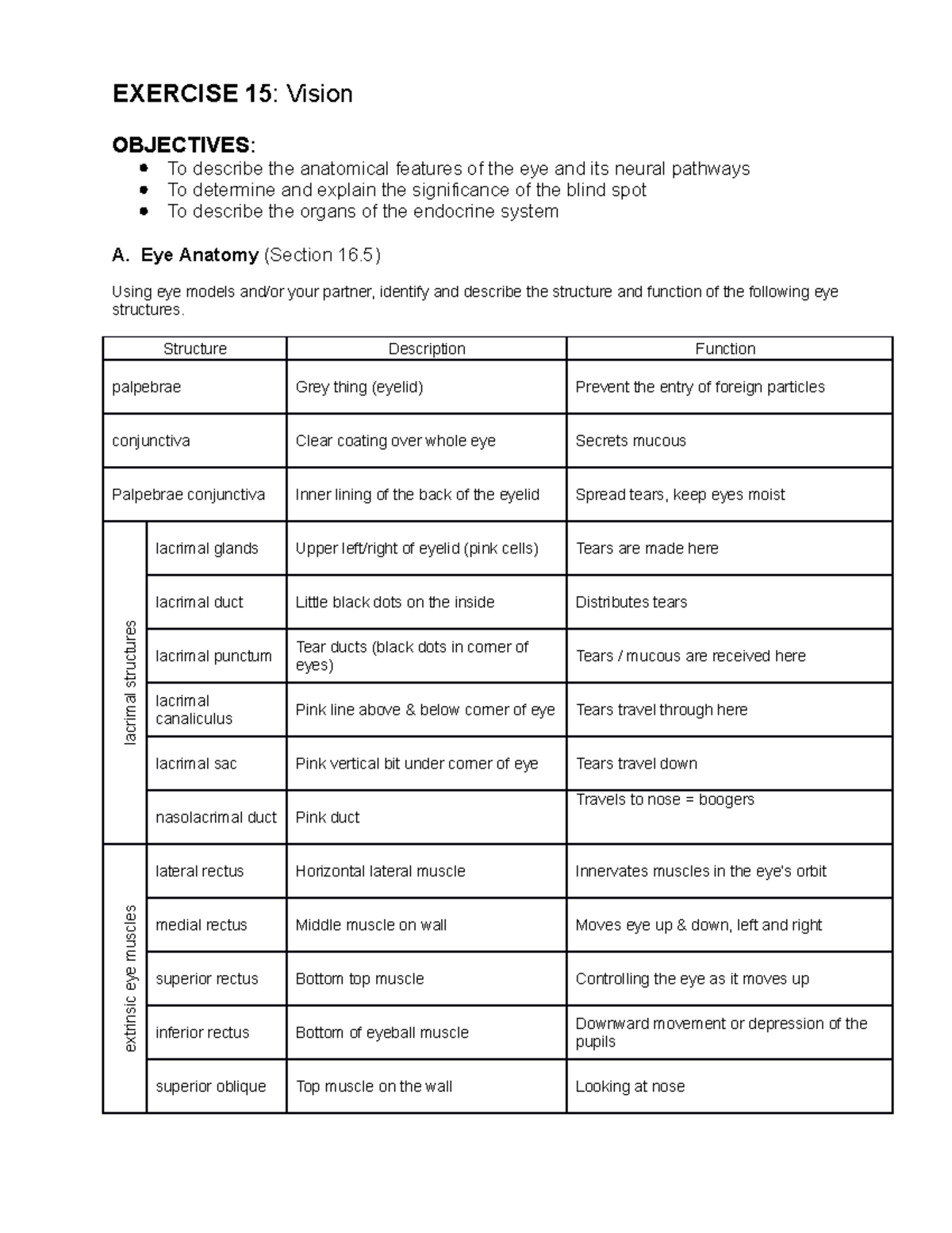 exercise-15-vision-exercise-15-vision-objectives-to-describe