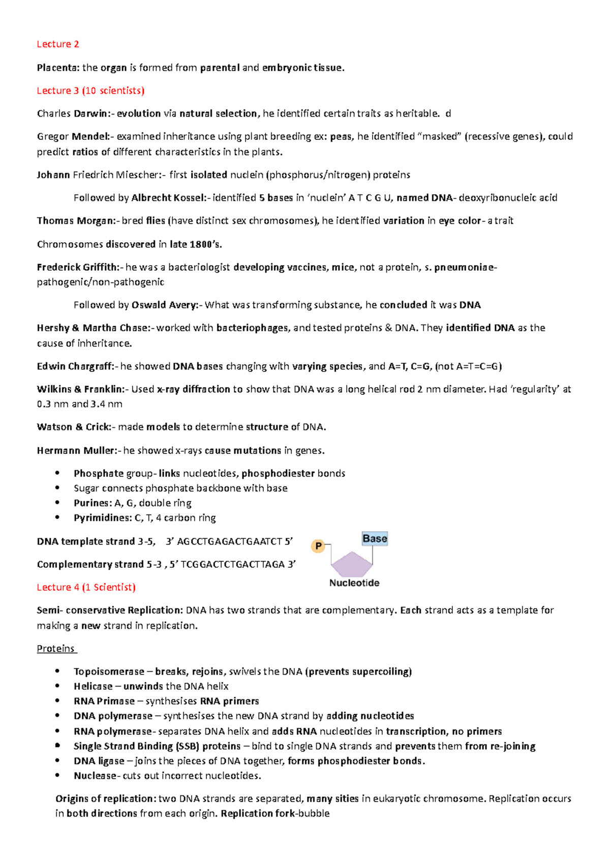 bio-notes-lecture-2-placenta-the-organ-is-formed-from-parental-and