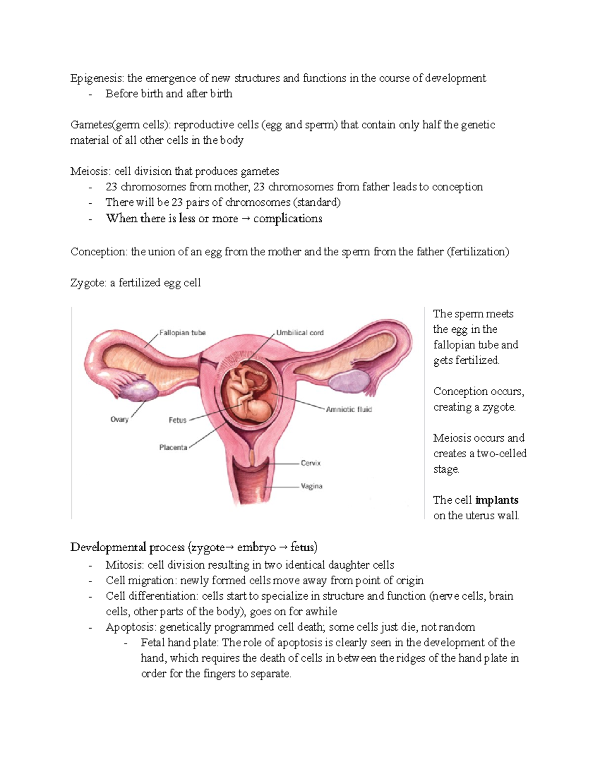 9 6 Class Notes - Chapter 2 - Epigenesis: the emergence of new ...