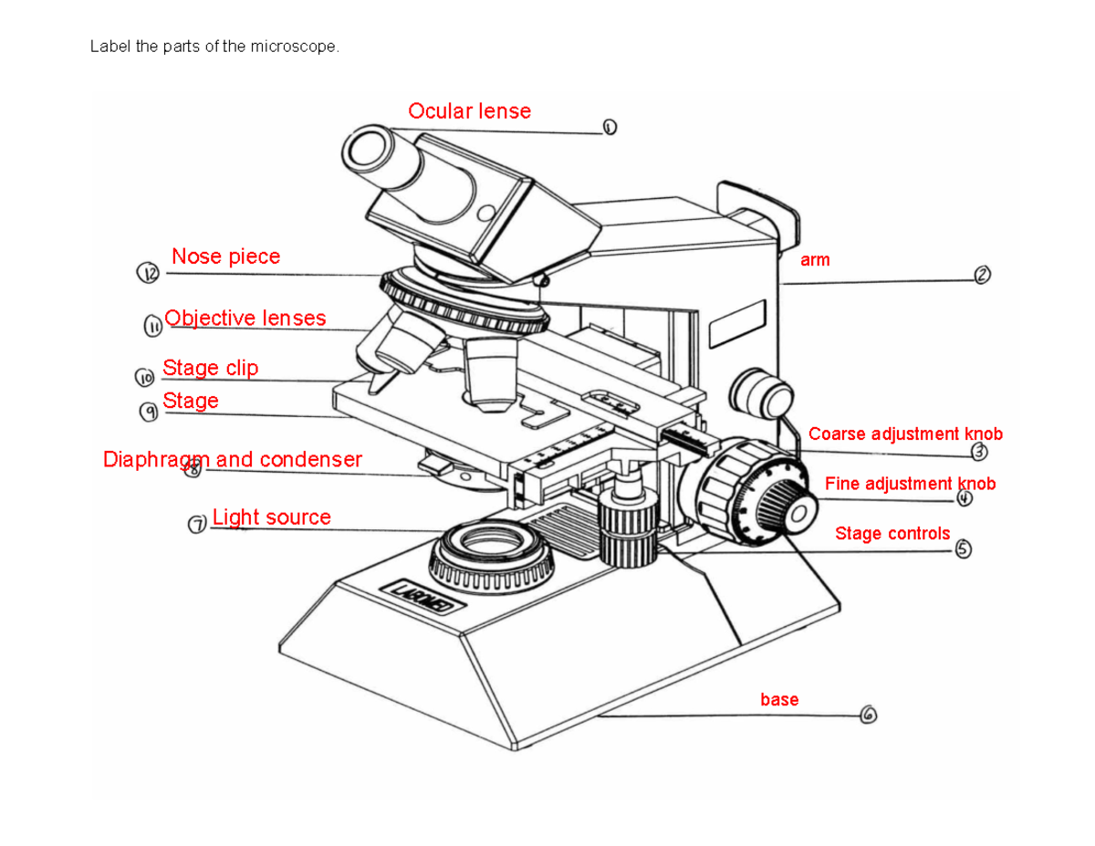 KEY microscope labeling pictures - Label the parts of the microscope ...