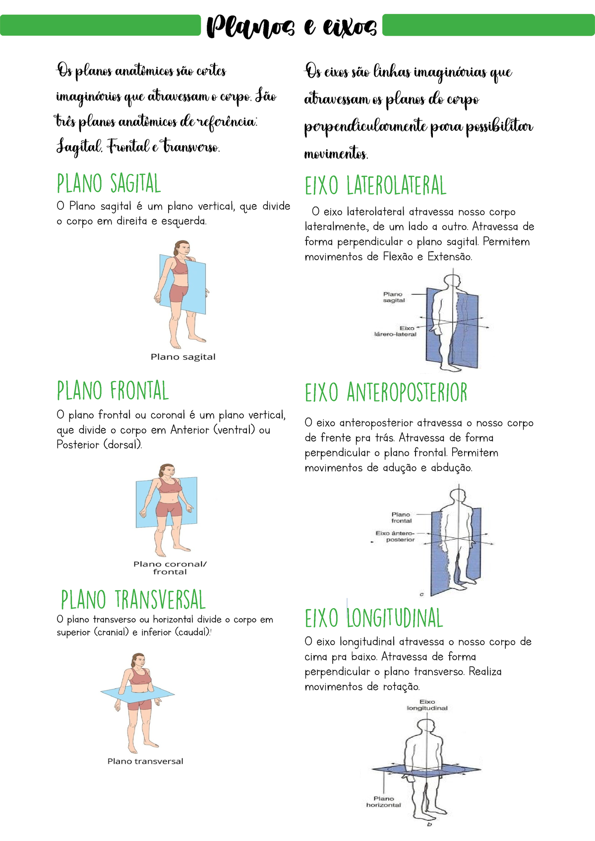 Planos E Eixos Material De Apoio Para Revis Es R Pidas Um Breve Resumo Os Planos Anat Micos