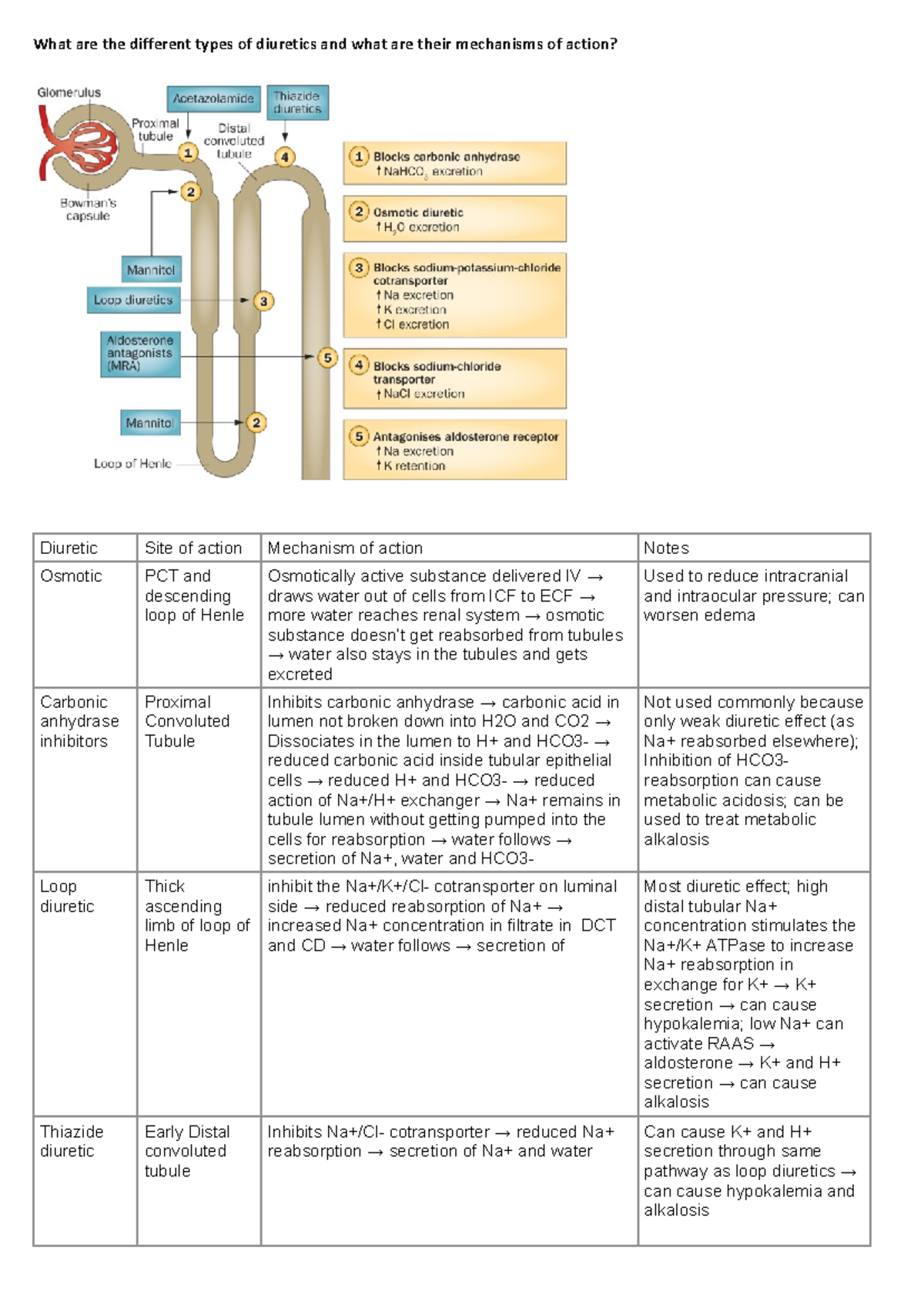 Renal pbl thomas - pbl learning objectives - What are the different ...
