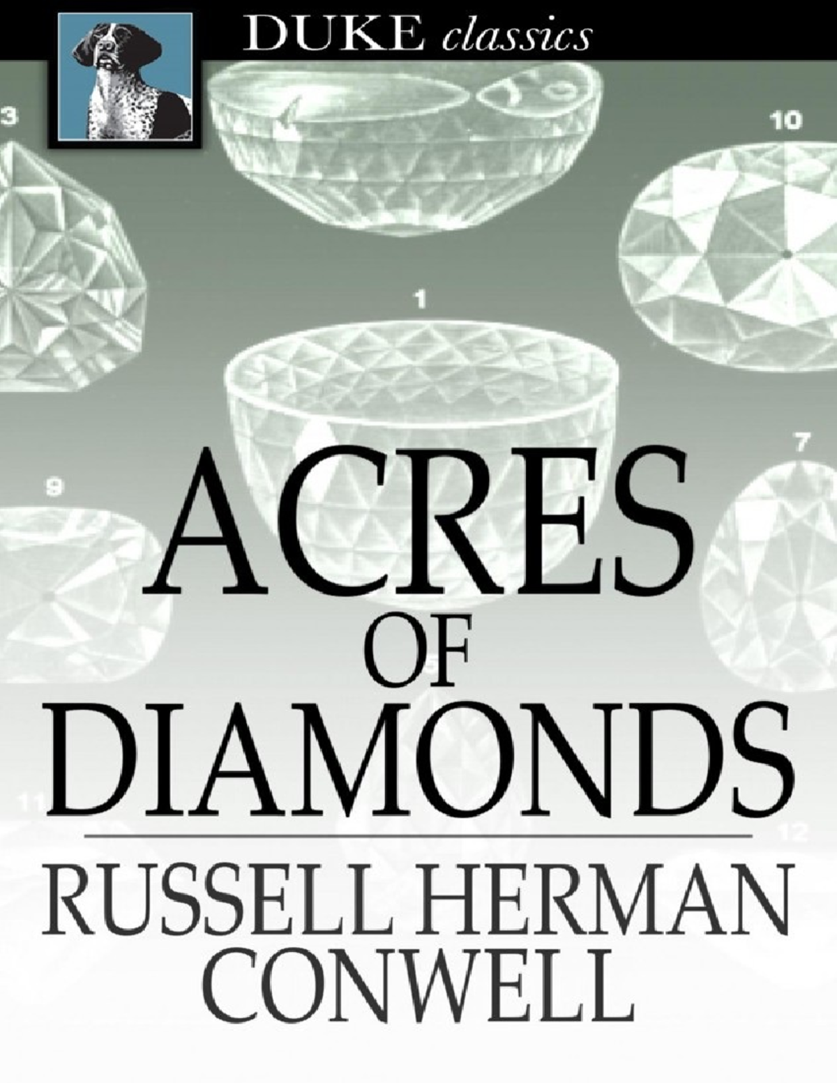 acres-of-diamonds-our-everyday-opportunities-pdfdrive-a-acres-of