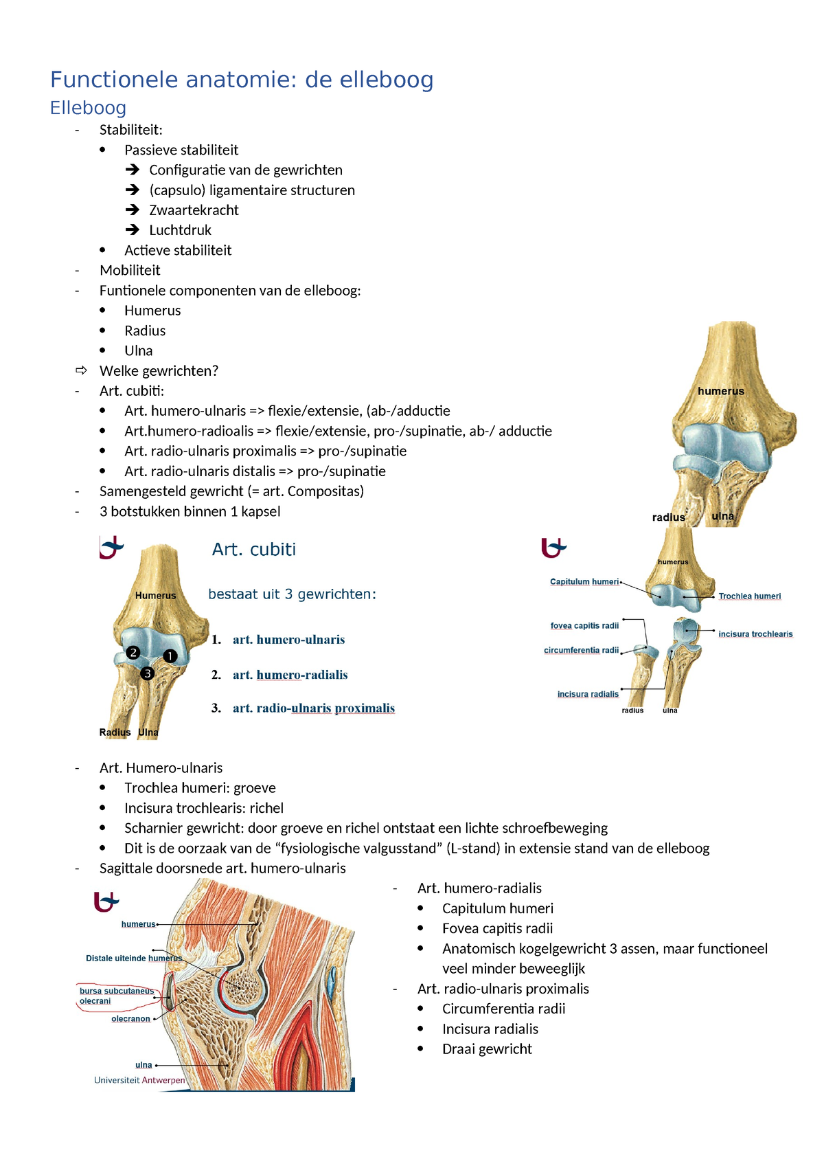 Functionele Anatomie Elleboog Functionele Anatomie De Elleboog Elleboog Stabiliteit