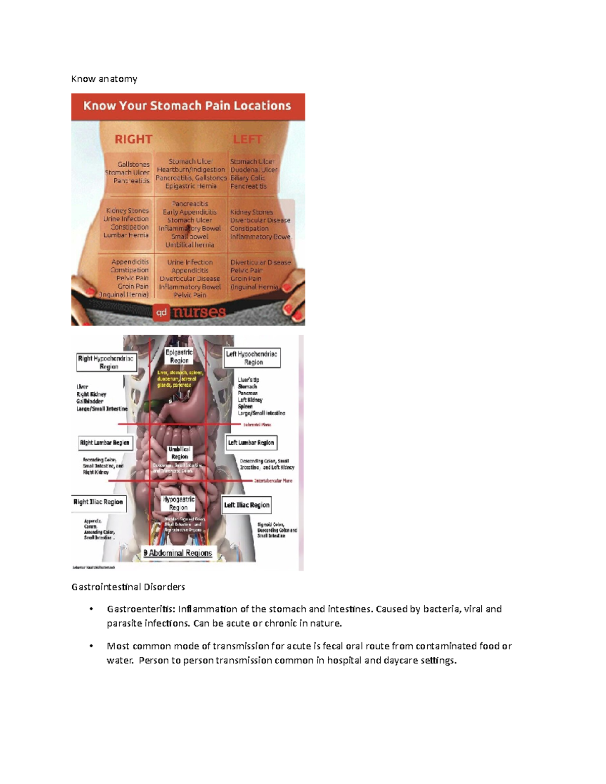 Abdominal Review By Dr. M - Know Anatomy Gastrointestinal Disorders 