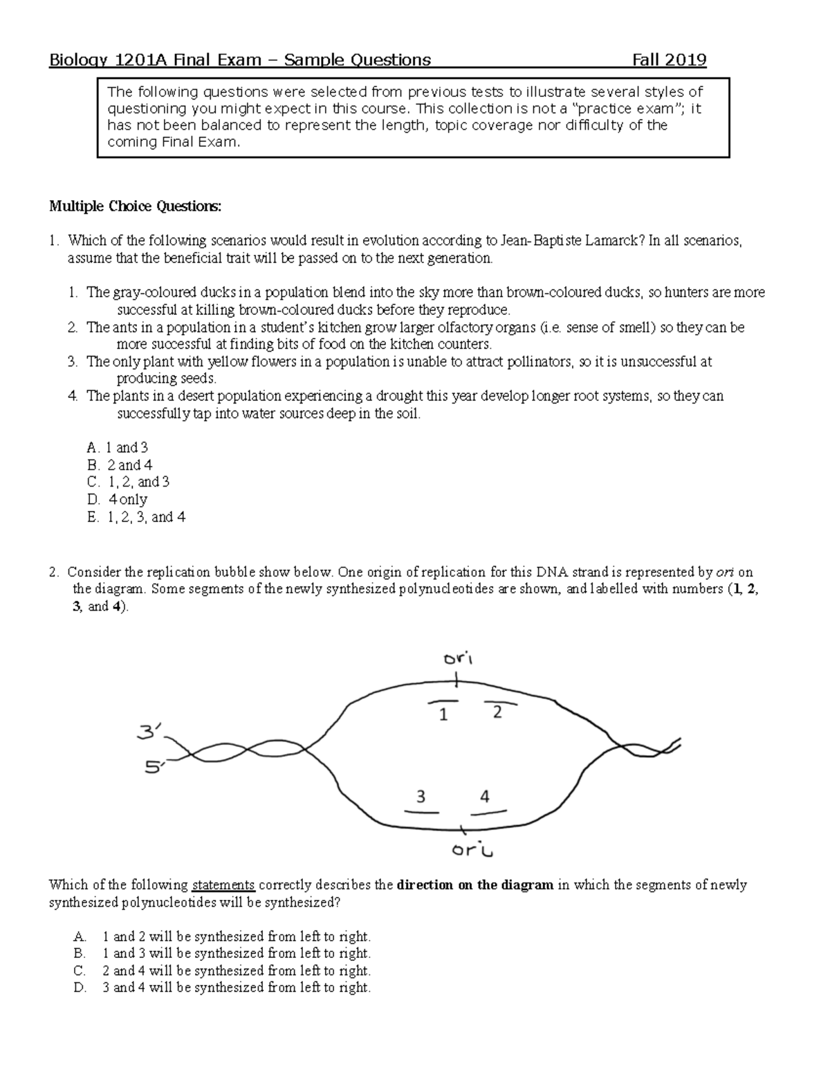 Final Exam Sample Questions 1 - Warning: Unimplemented annotation type ...
