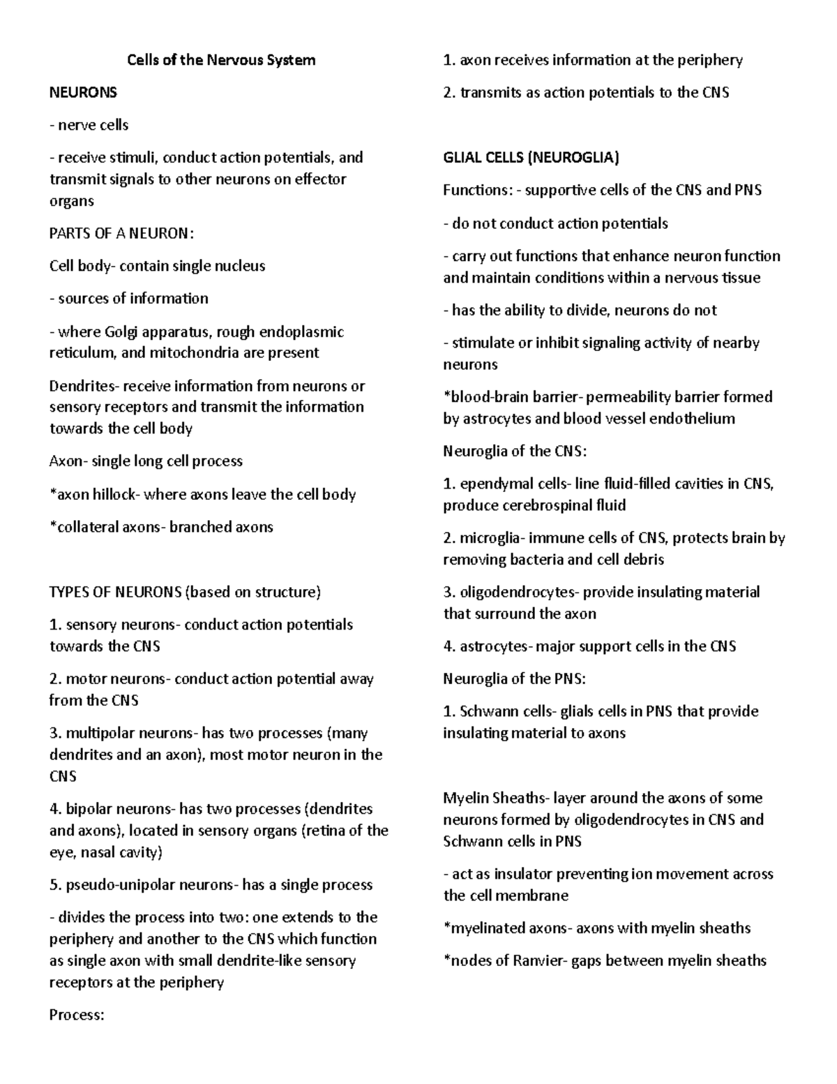 Anatomy and Physiology (Nervous System Notes) - Cells of the Nervous ...
