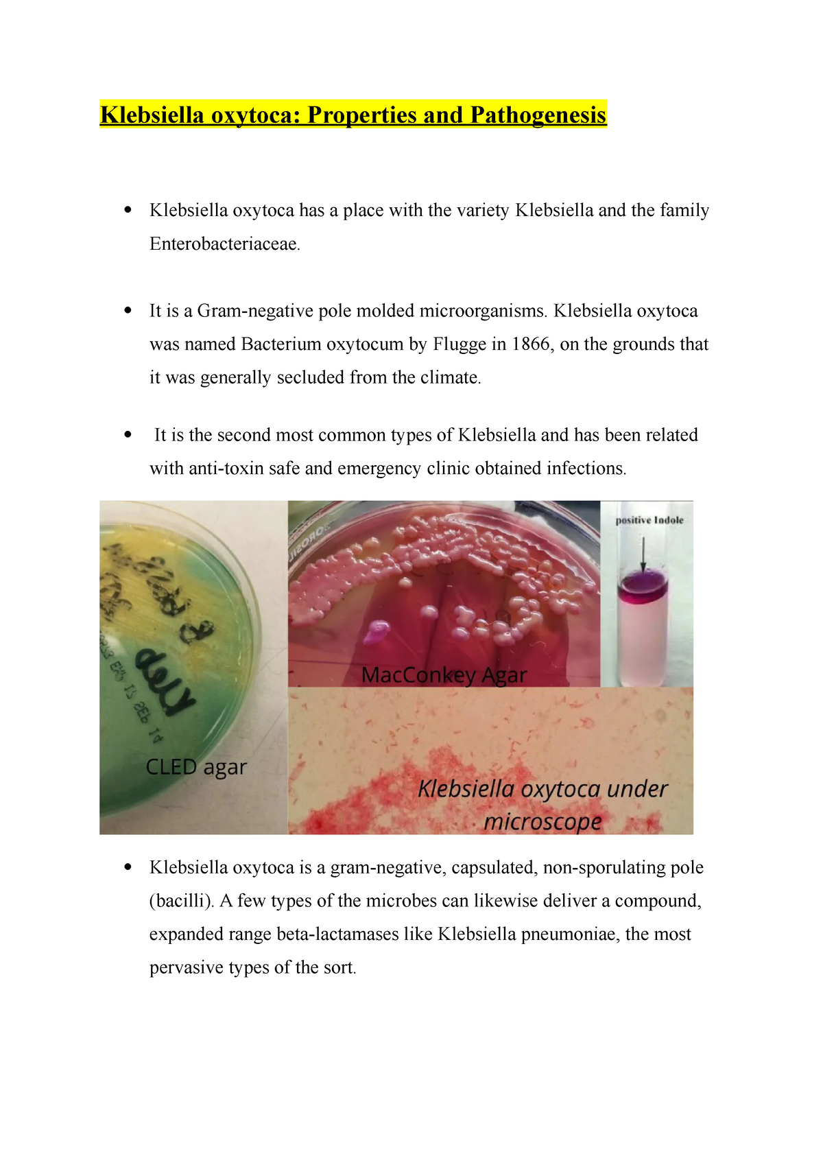 Klebsiella oxytoca - USEFUL LECTURE NOTES - Klebsiella oxytoca 