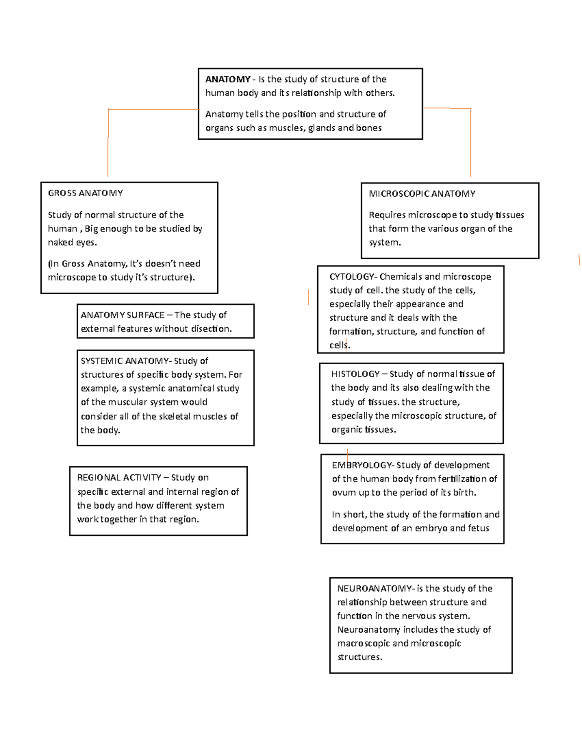 ANATOMY REVIEWER - ANATOMY - Is the study of structure of the human ...