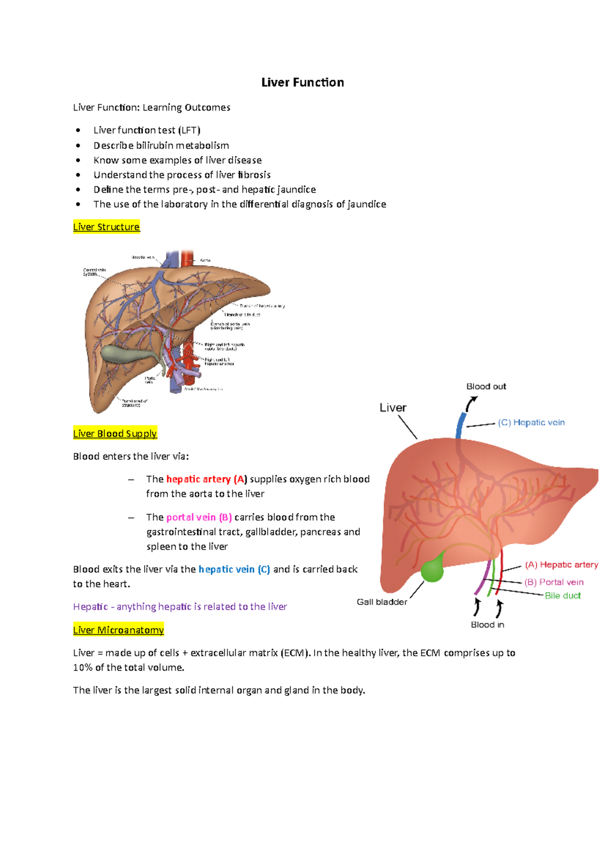 Liver Function. - Liver Funcion Liver Funcion: Learning Outcomes Liver ...