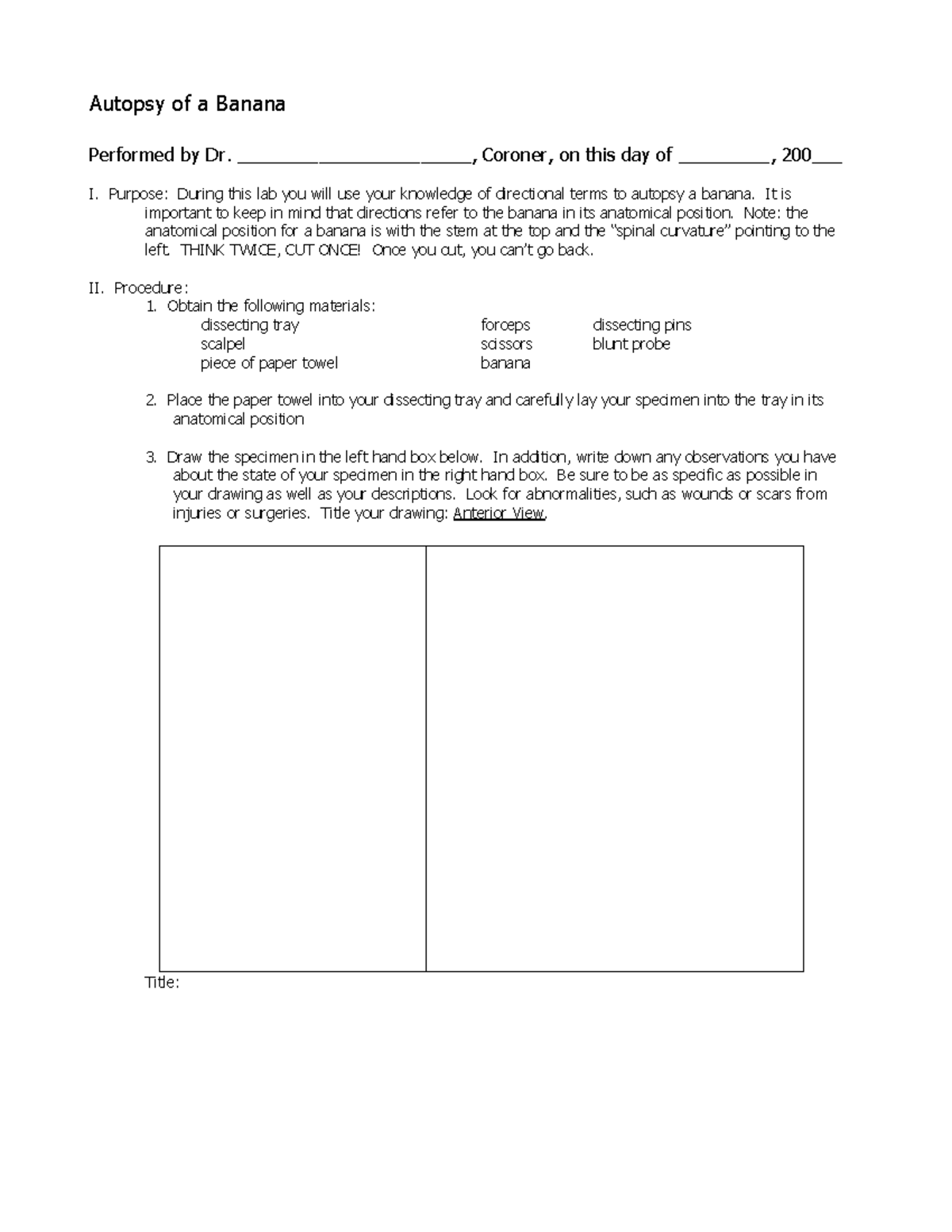 Banana Dissection Autopsy of a Banana Performed by Dr