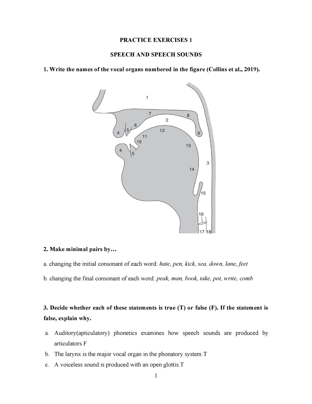 Lecture 1 - Practice exercises - PRACTICE EXERCISES 1 SPEECH AND SPEECH ...