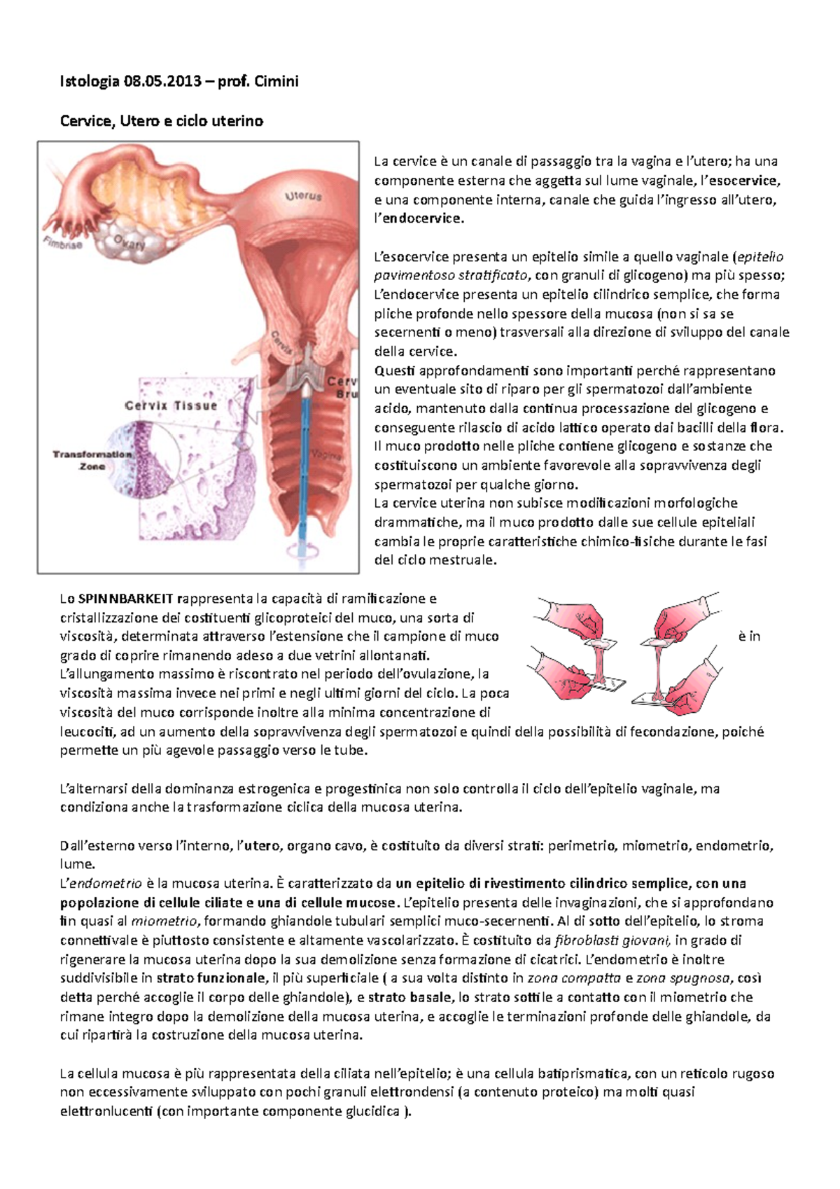 Appunti lezione dell'8 maggio 2013 su cervice, utero e ciclo uterino