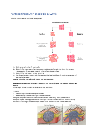 Oefentoets Zenuwstelsel - Oefentoets Anatomie & Fysiologie ‘Het ...