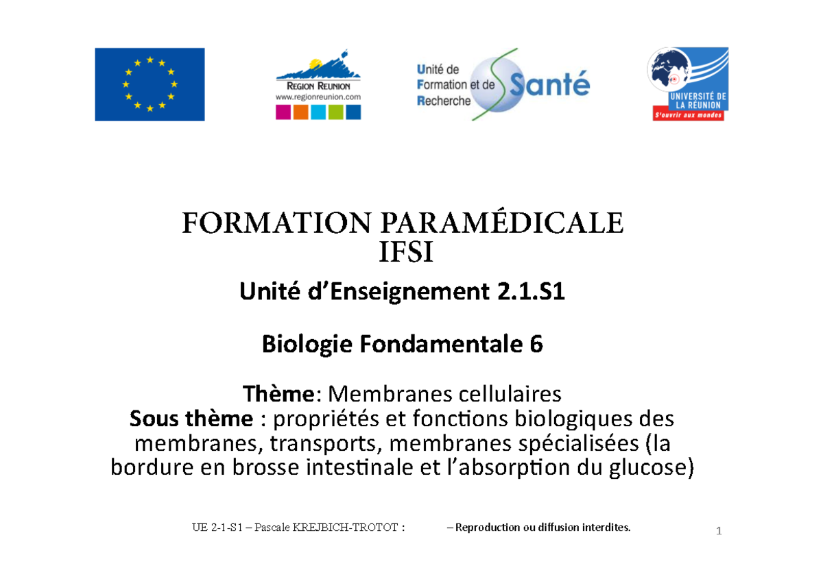 Ue 2.1 S1 Partiel Corrigé