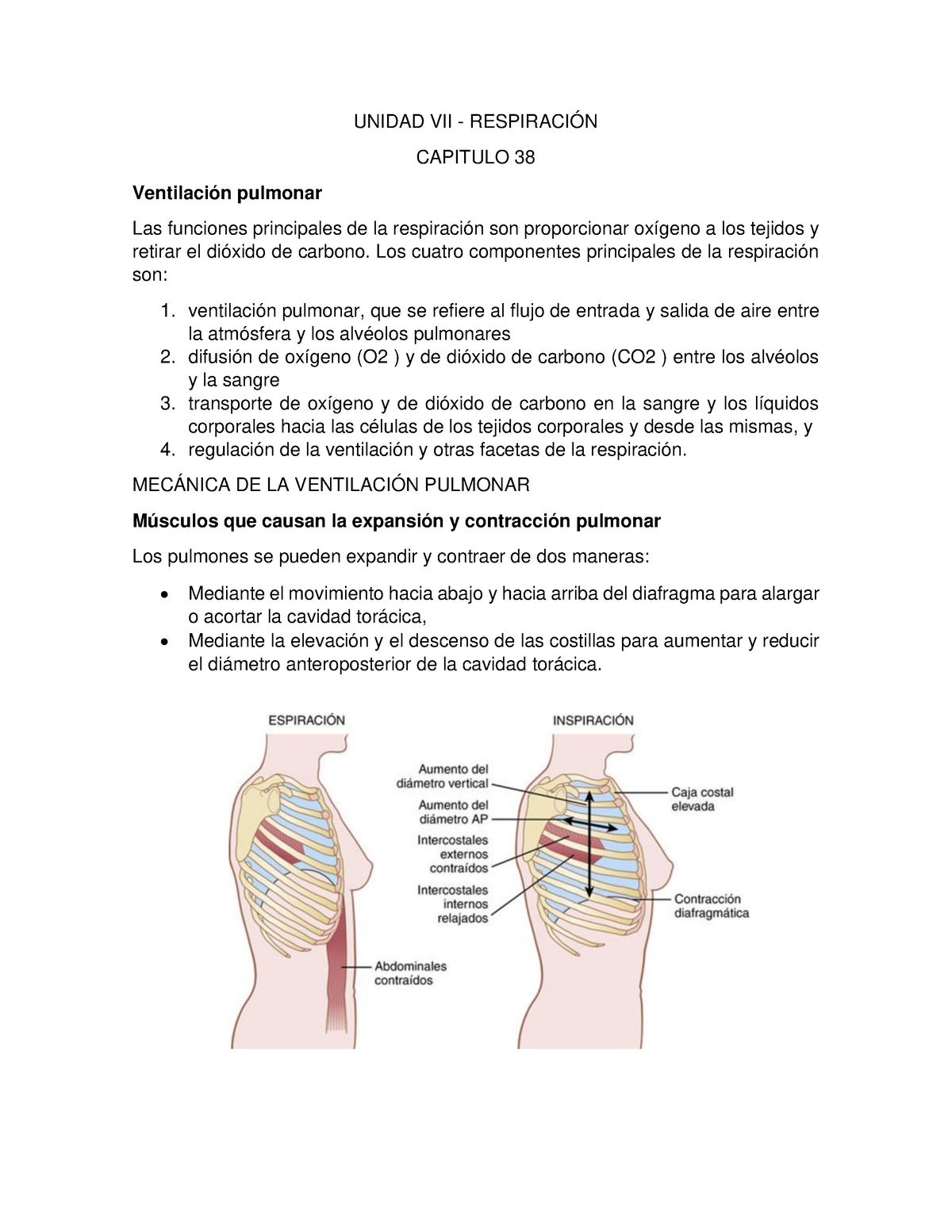 Cap Resumen Guyton Y Hall Tratado De Fisiolog A M Dica Unidad Vii Respiraci N Capitulo