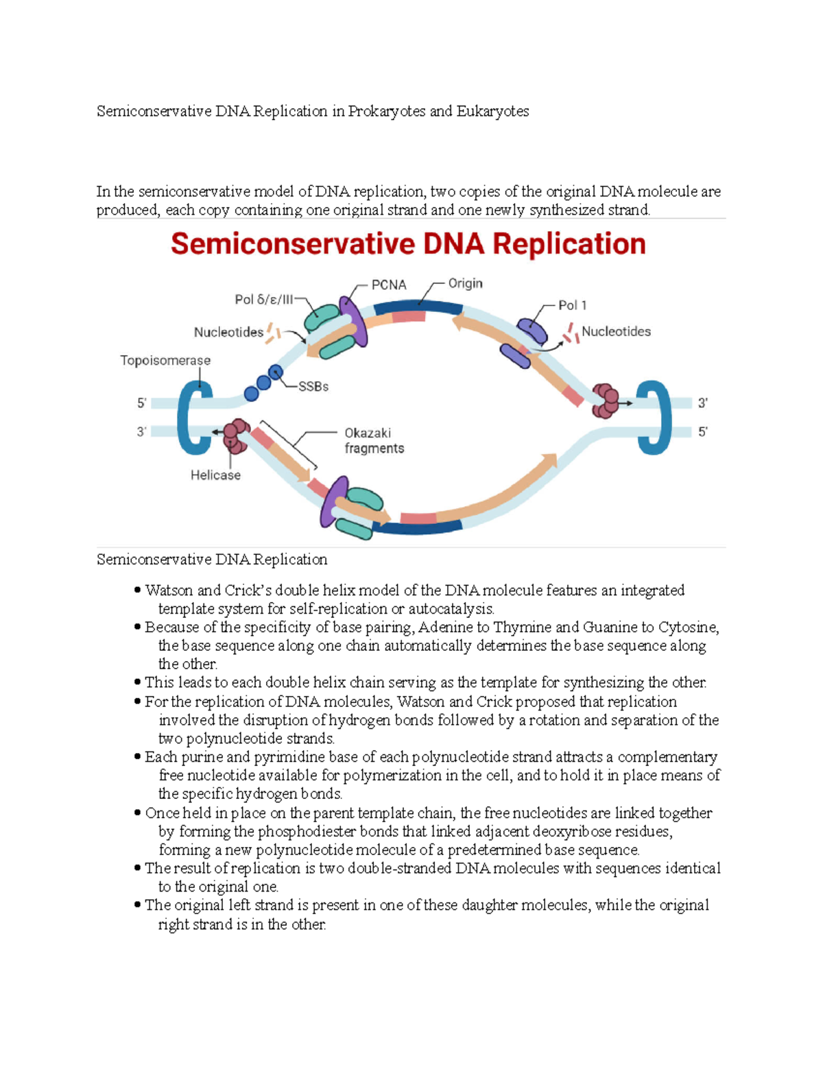 Why Is The Replication Of Dna Called Semiconservative 25 - 2y03upf