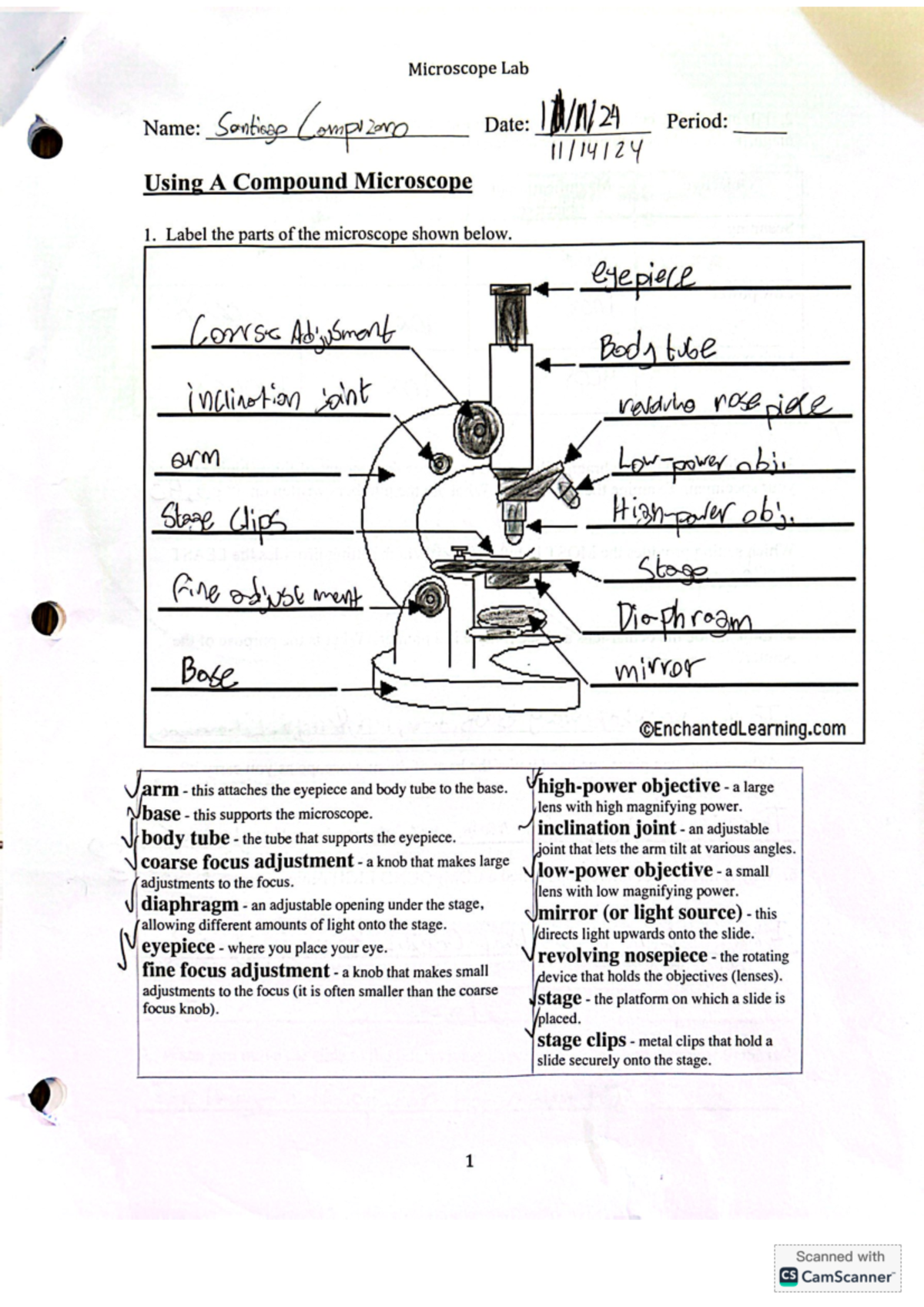 Using A compound Microscope - Label the parts of the microscope shown ...
