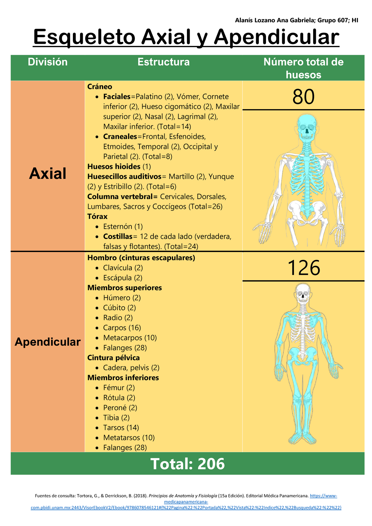 Esqueleto Axial Y Apendicular Todos Los Huesos Biologia General I UNAM Studocu