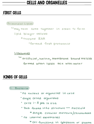 Chapter 12 book notes endomembrane system - flattened sacs tubules ...