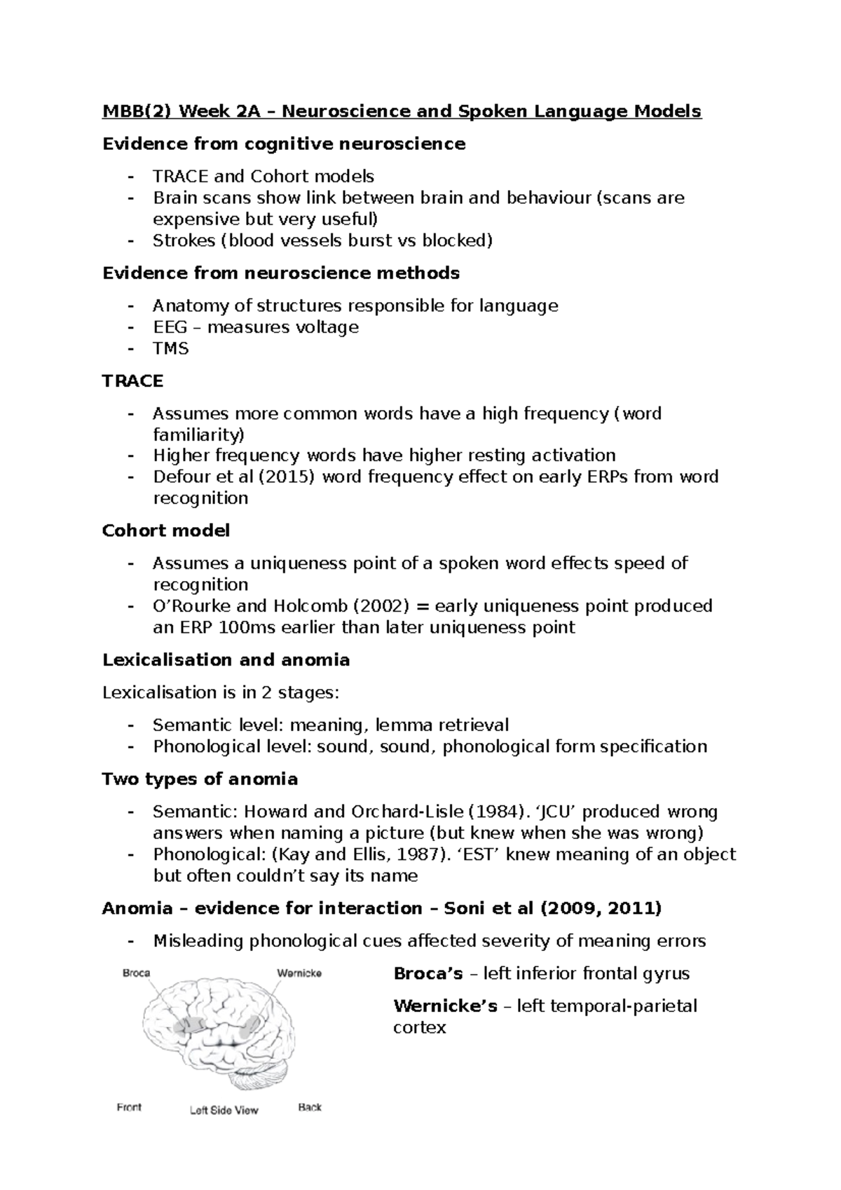Neuroscience and spoken language models - MBB(2) Week 2A – Neuroscience ...