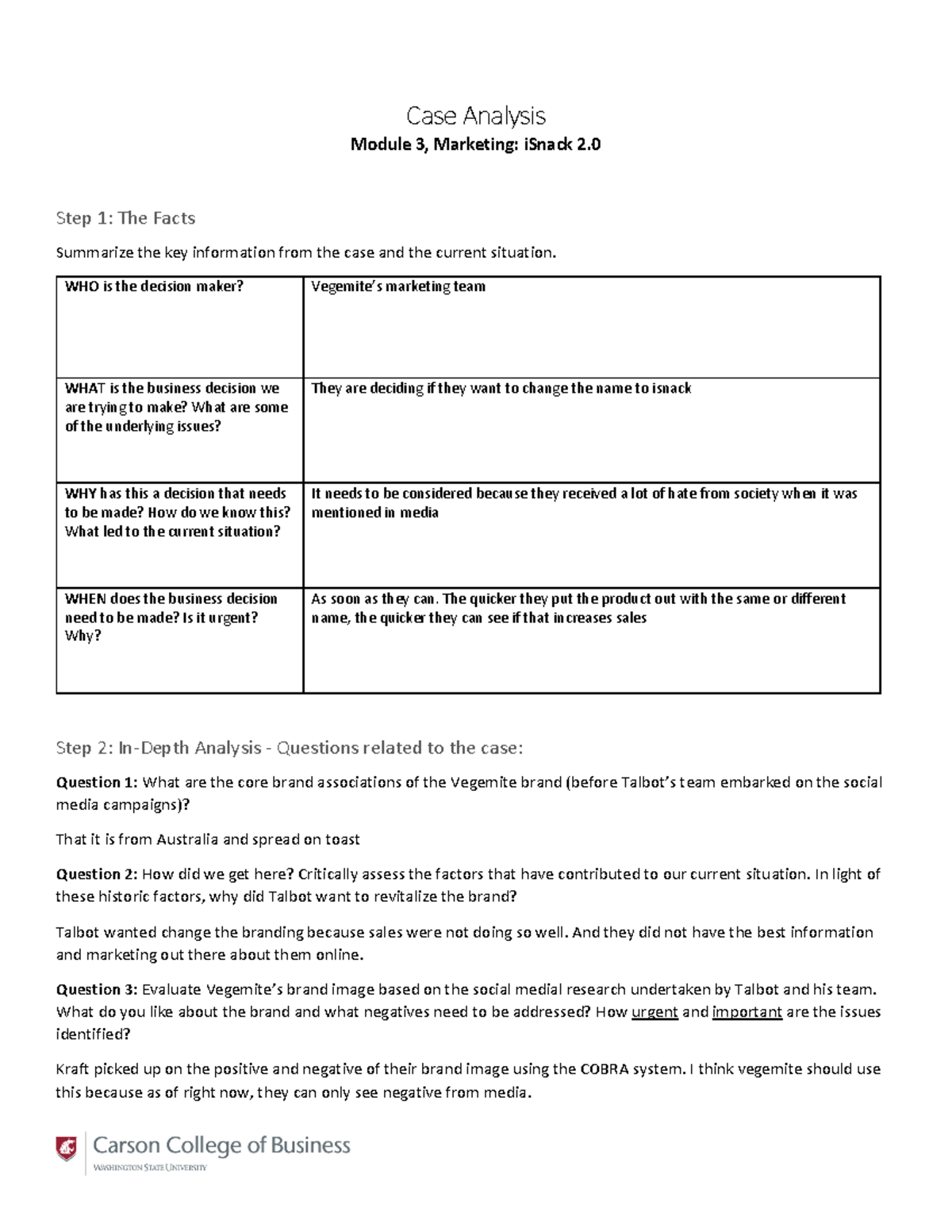 Case Analysis Template - i.Snack 2 - Case Analysis Module 3, Marketing ...